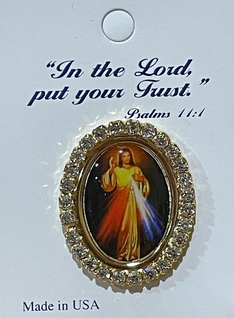 DIVINE MERCY PIN W/CRYSTALS