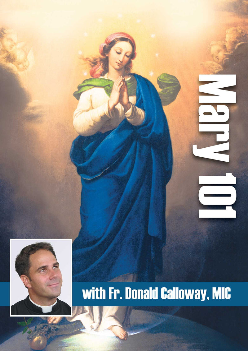 MARY 101 DVD