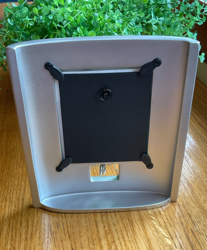 25TH ANNIVERSARY FRAME RESIN/S