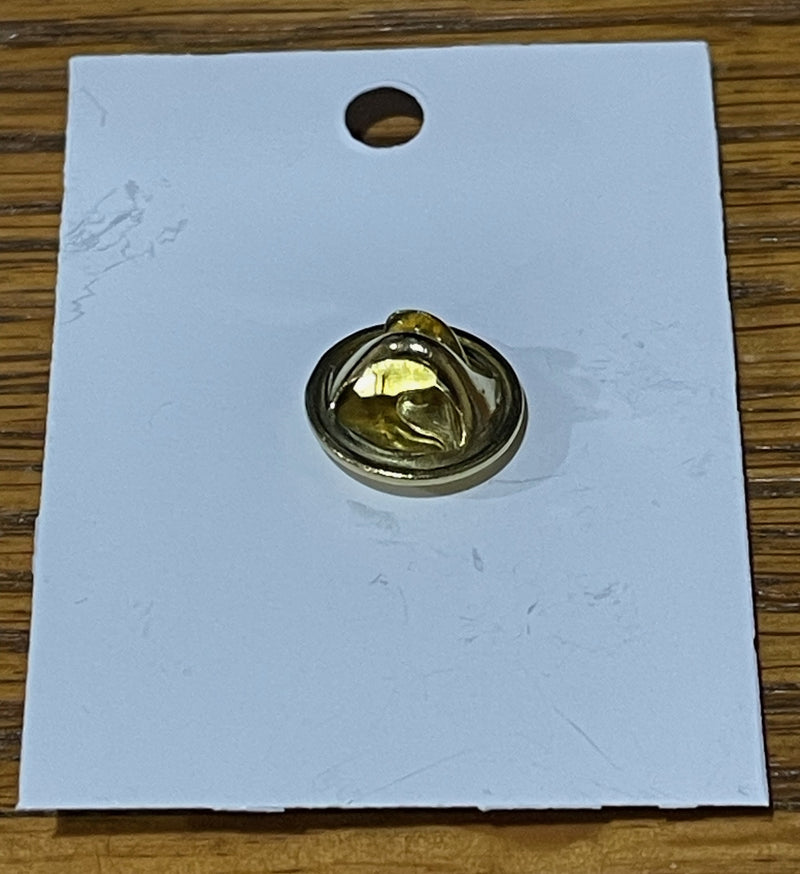 GOLD NATIVITY IN STABLE PIN