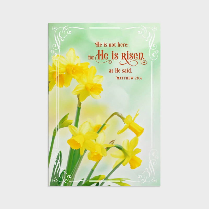 12CT EASTER SPRINGTIME BOXED