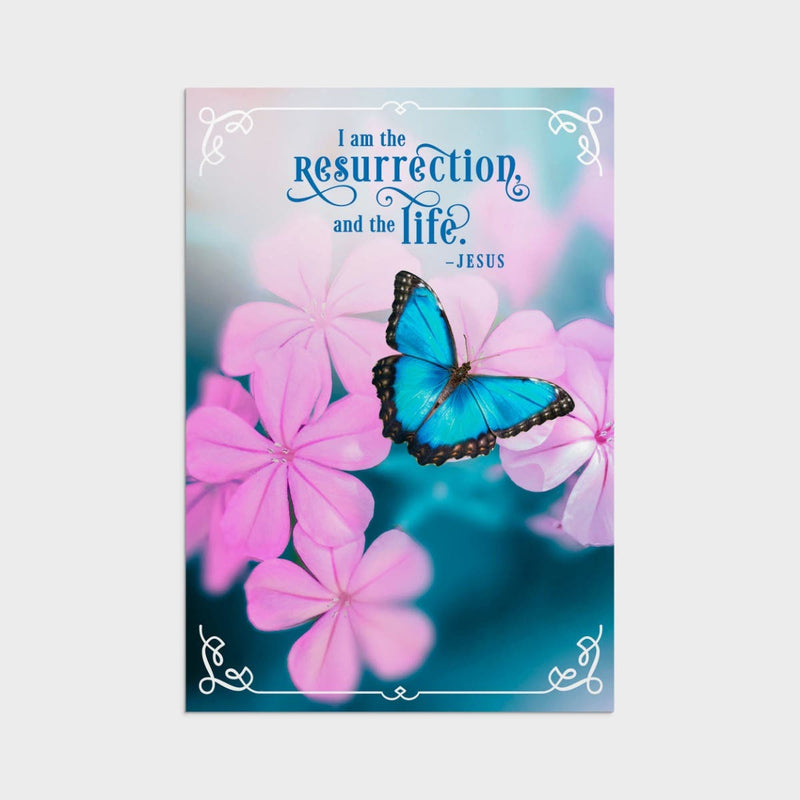 12CT EASTER SPRINGTIME BOXED