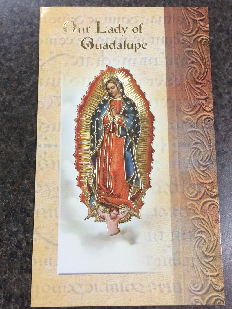 BIOGRAPHY OUR LADY GUADALUPE
