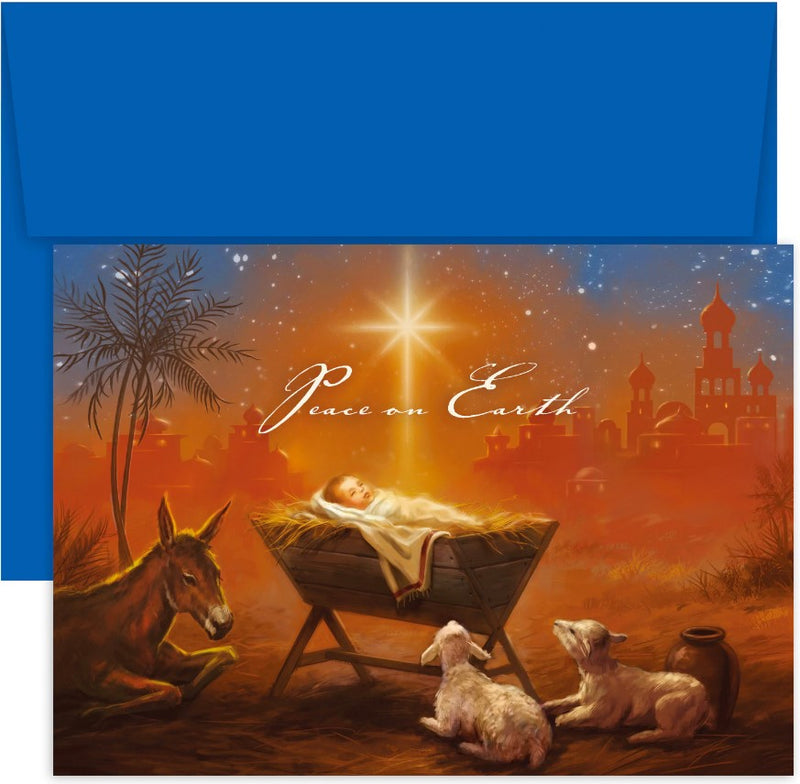 16CT BOXED BABY JESUS W/ANIMAL