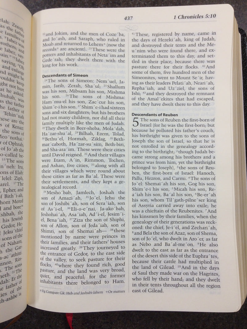 CATHOLIC SCRIPTURE STUDY BIBLE