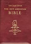 NEW AMERICAN BIBLE BURGUNDY